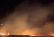 Опасен пожар на патен правец во Македонија